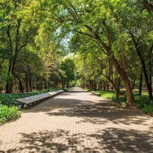 Bike tour of Chapultepec park
