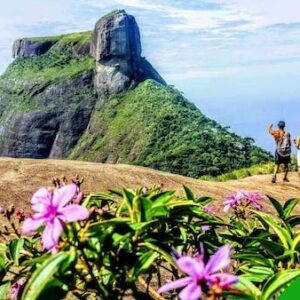Guided half-day Tijuca forest express hike