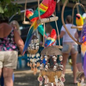Tour of Boca de Yuma cliffs and beach with pick-up and boat ride