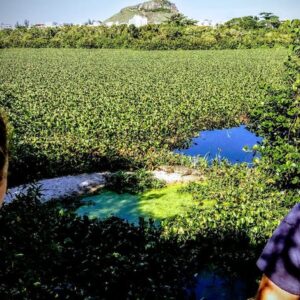 Full-day Prainha park and Grumari beach private, guided hiking tour