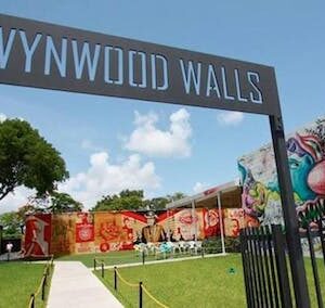 Wynwood walls and street art tour
