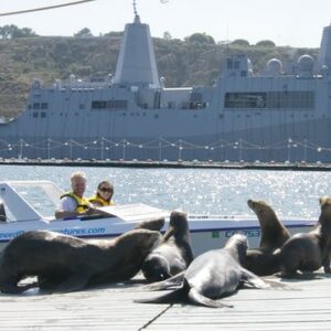 San Diego speed boat adventure tour