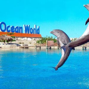Ocean World Puerto Plata Tour