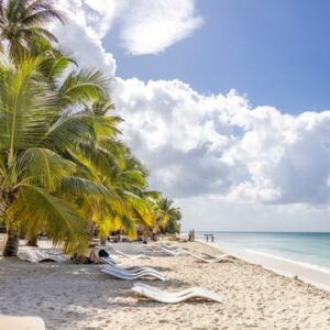 Saona Island Highlights Tour by Boat with Buffet Lunch