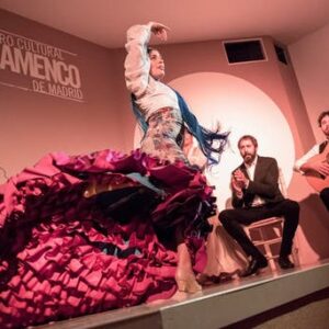 Traditional flamenco show in Madrid
