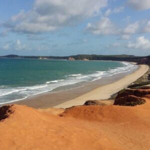 Pipa Day Trip - Group Tour Spanish and Portuguese