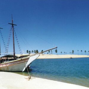 Boat Trip Sao Francisco River Nature Sanctuary