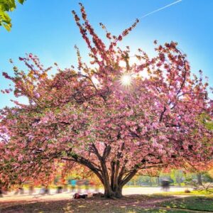 Walking tour of the Jardin des Plantes (Botanical Garden)