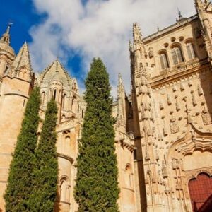 Full-day tour to Avila and Salamanca from Madrid